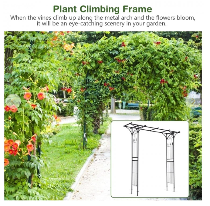81 x 81 x 20 Inch Metal Garden Arch for Various Climbing Plant - Unassembled