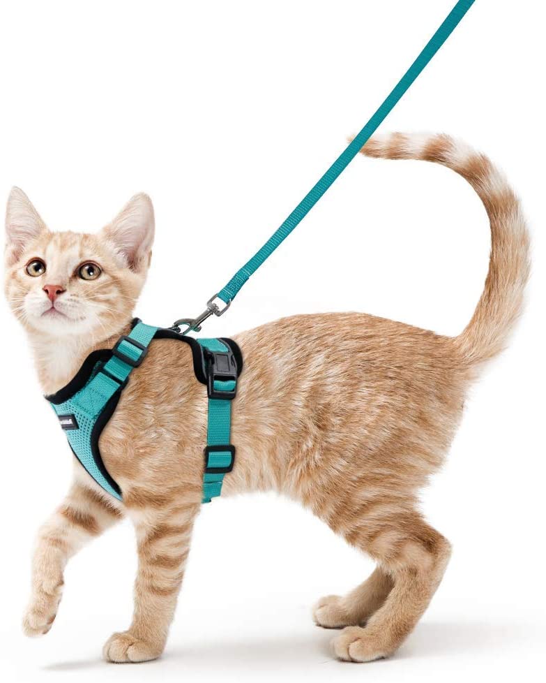 No Pull Cat Harness - Small