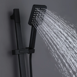 Matte Black 1.75 GPM GPM, shower head & holder