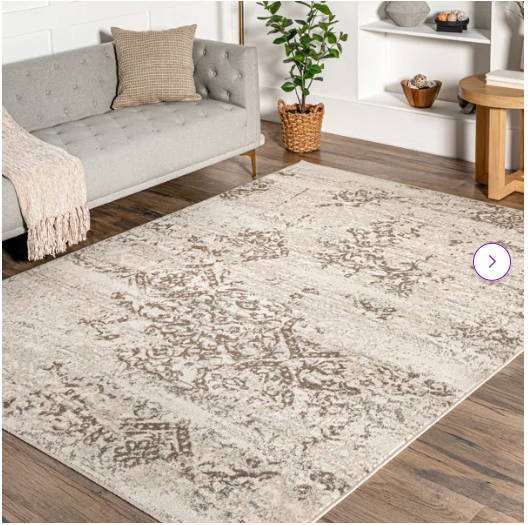 4' x 6' -Shockley Floral & Paisley Area Rug, Beige/Ivory