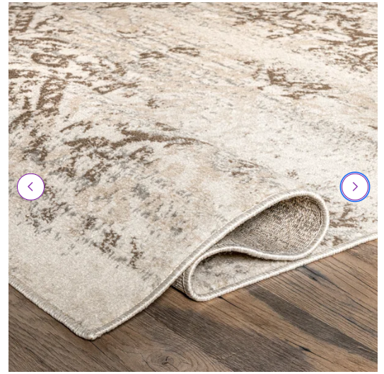 4' x 6' -Shockley Floral & Paisley Area Rug, Beige/Ivory