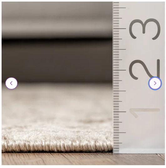 4' x 6' -Shockley Floral & Paisley Area Rug, Beige/Ivory