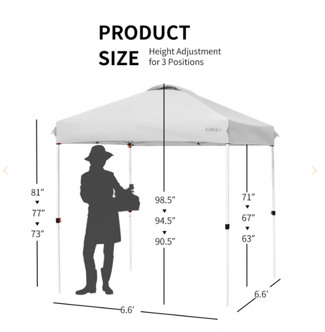 6.6 x 6.6 Feet Outdoor Pop-up Canopy Tent with Roller Bag