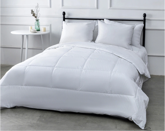 Homesuite Essentials Down Alternative Cotton Duvet With Silverclear