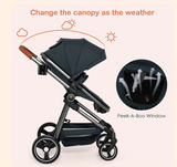 INFANS 2 in 1 Convertible Baby Stroller,