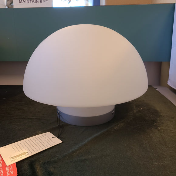 Flush Mount Light