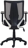 Office Chair Ergonomic, Adjustable Mesh Mid-Back Task Office Chair, Breathable mesh Back and Adjustable Lumbar Support