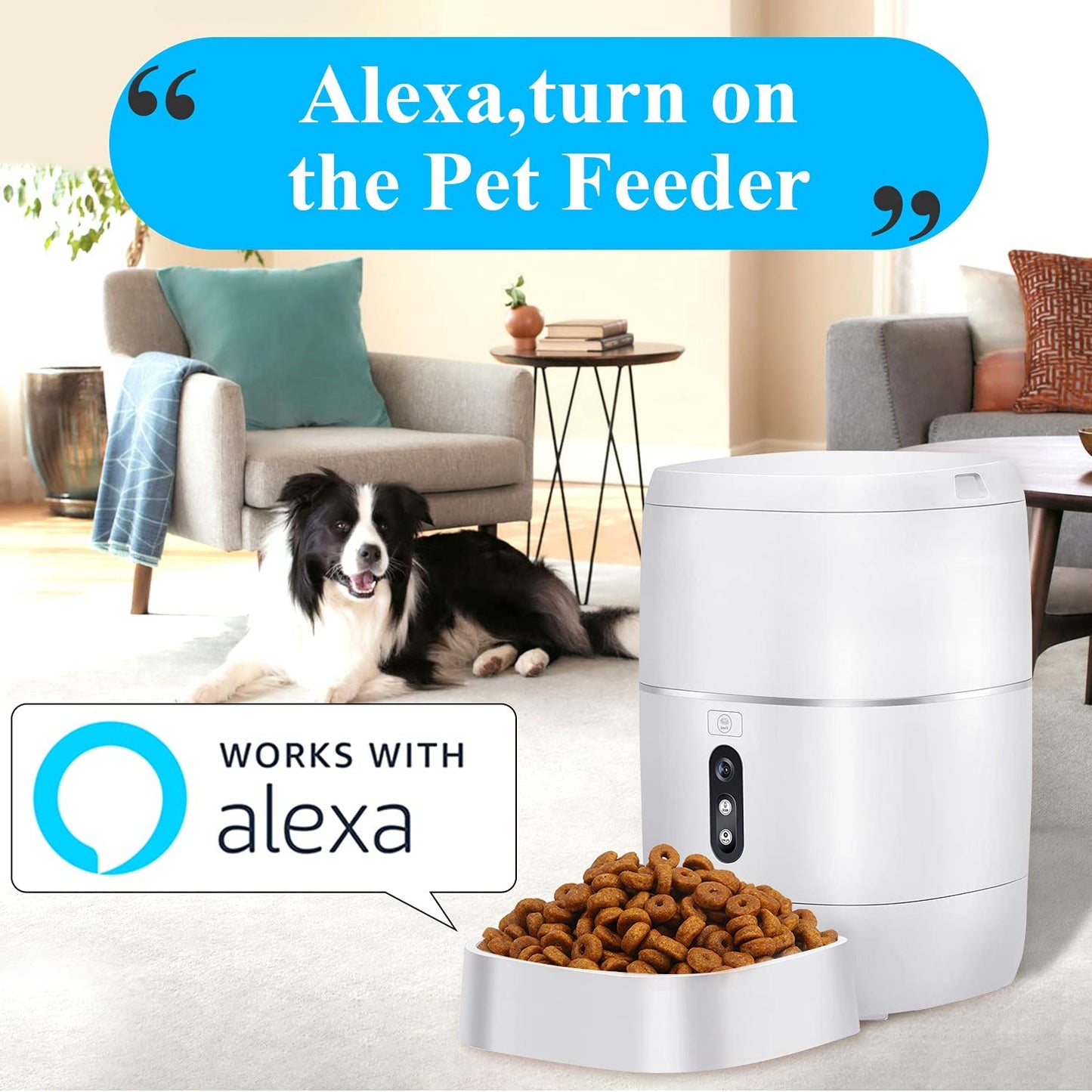 Cat / Dog Auto Feeder with Camera
