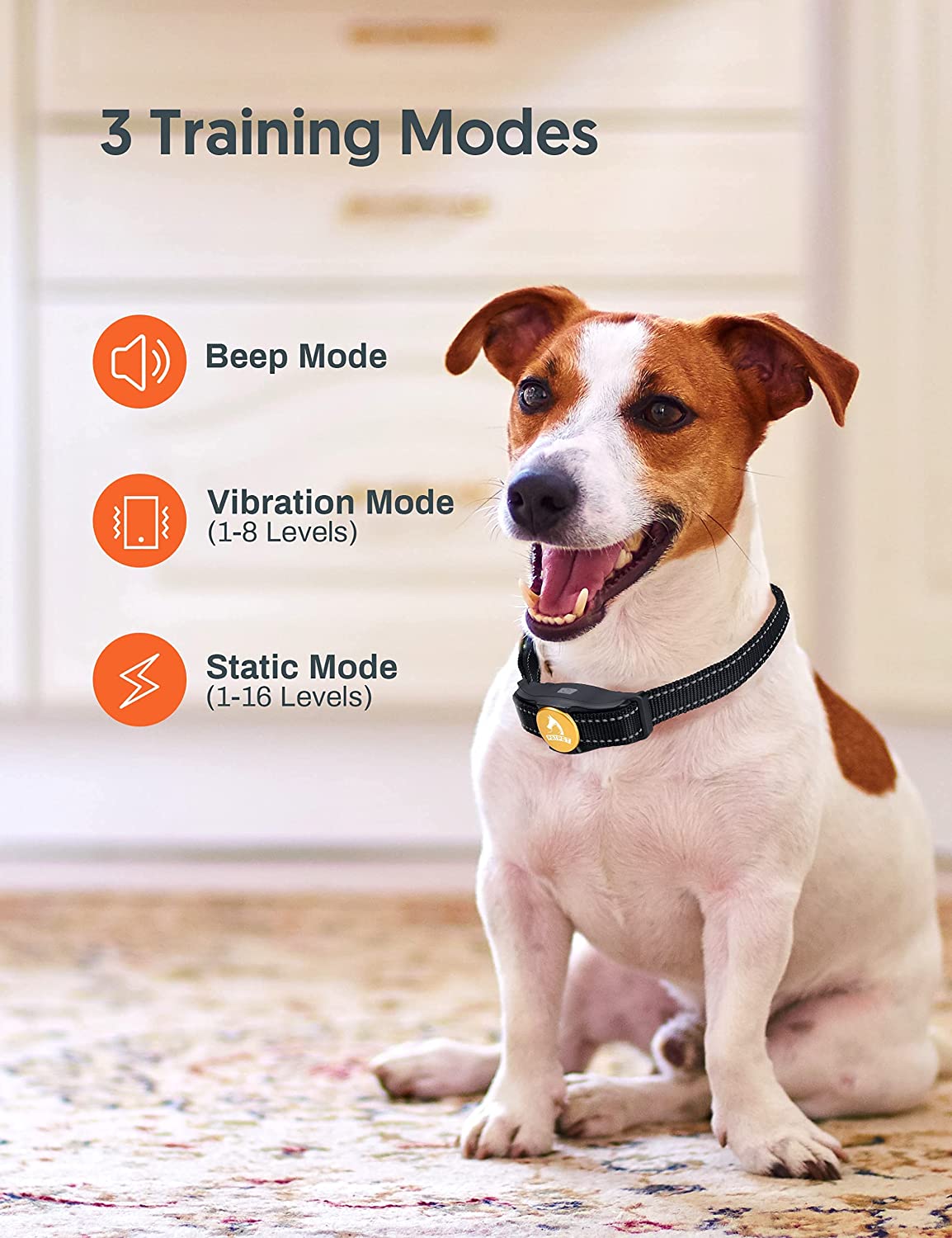 PATPET Dog Shock Collar with Remote