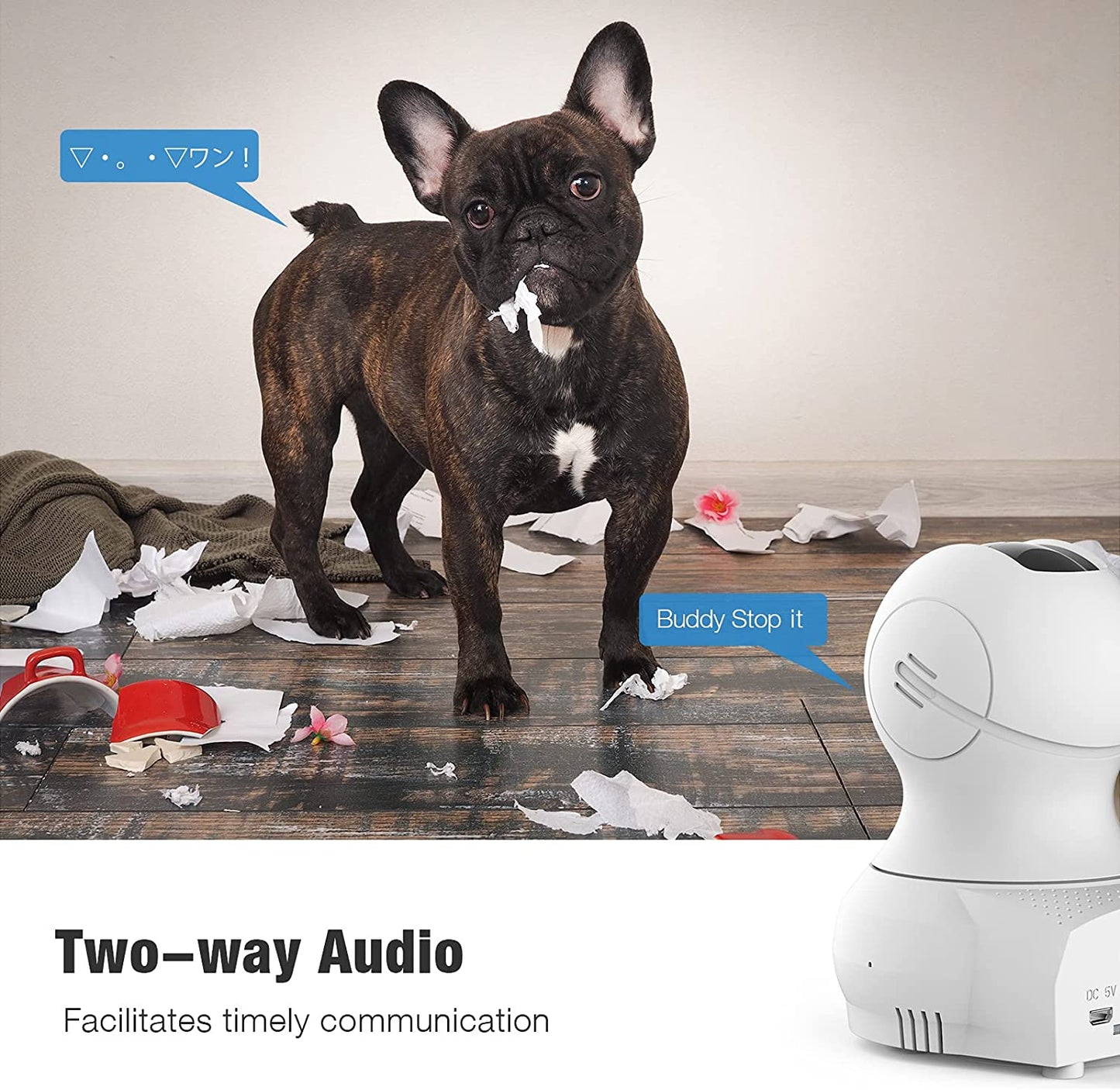 PTZ Cloud IP Camera 1080p by Ebitcam