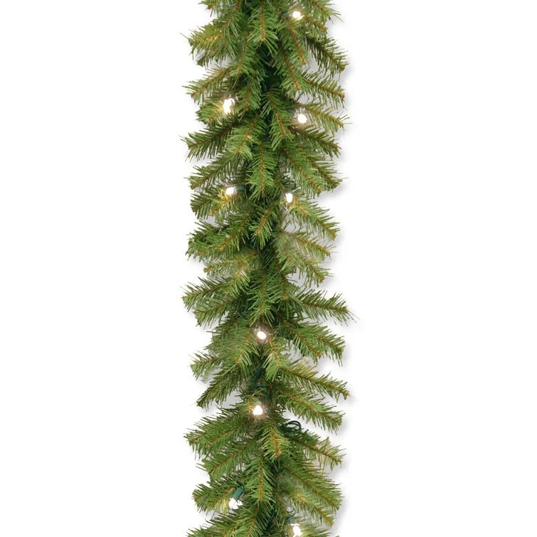 Norwood Fir Garland with 50 Lights