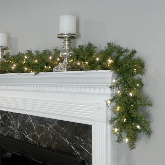 Norwood Fir Garland with 50 Lights