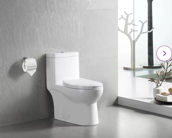 Dual-Flush Elongated One-Piece Toilet with Glazed Surface (Seat Included)