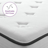 Wayfair Sleep 9" Medium Hybrid Mattress - KING