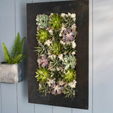 Willamette Steel Wall Planter - scratch & dent