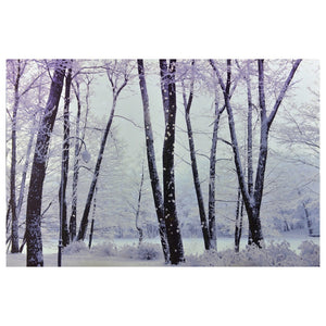 CANVAS 16″X12″ 30 FIBERS SNOWY FOREST