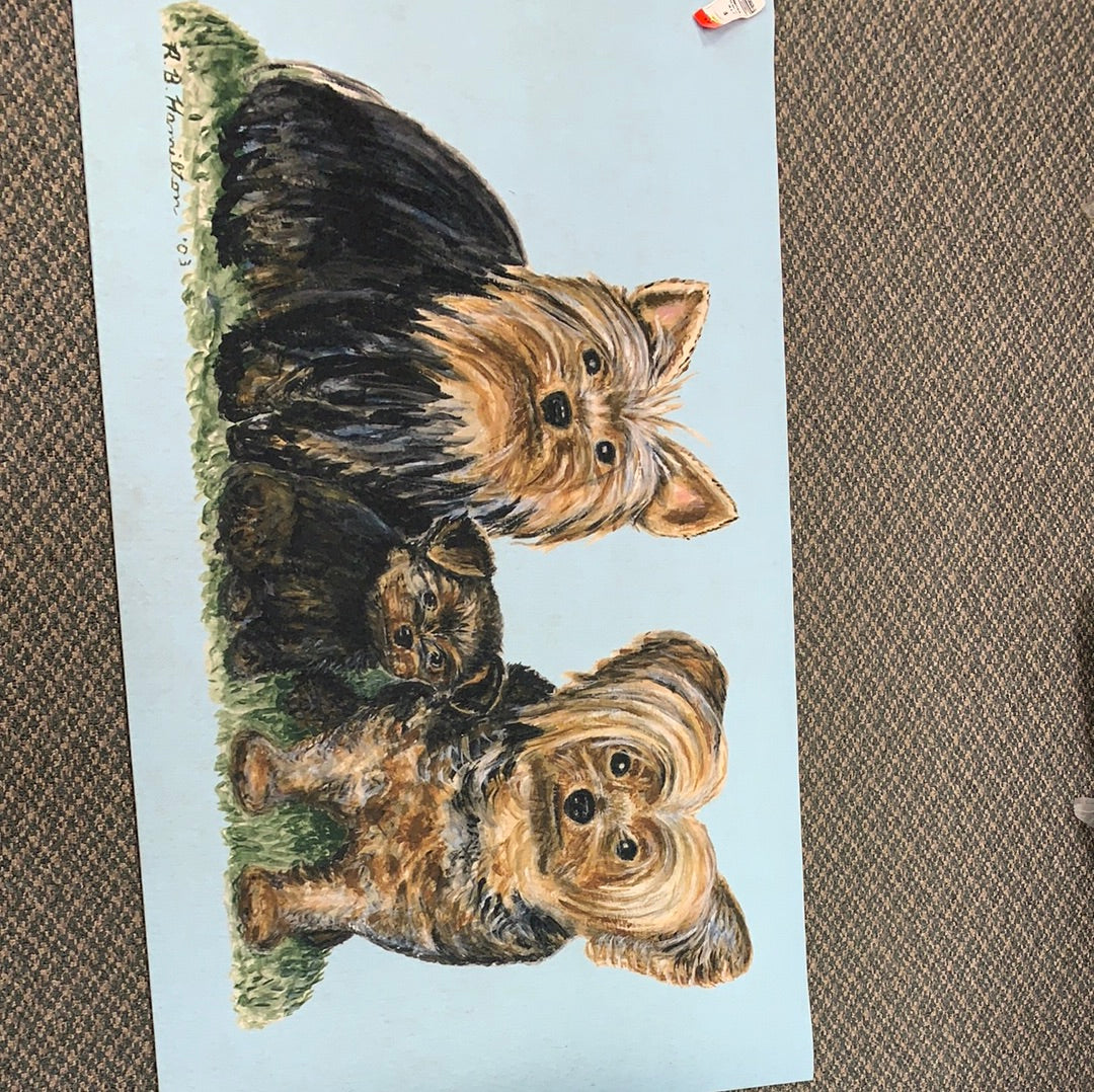 Yorkie mat