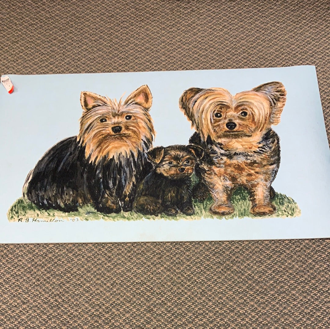 Yorkie mat